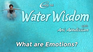 What Are Emotions?