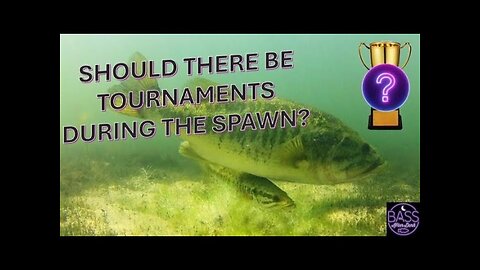 Should there be tournaments during the spawn?