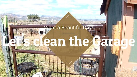 What a Beautiful Day! ~ Let's clean the Garage