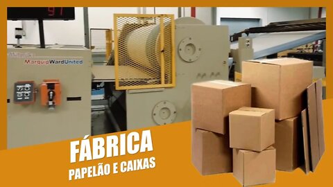 Caixa de Papelão: Como é Fabricado? Por Dentro da Fábrica