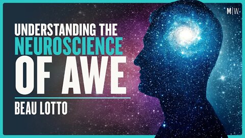 The Neuroscience Of Awe, Distraction and Anxiety - Beau Lotto | Modern Wisdom Podcast 376