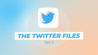 The Twitter Files - Part 2