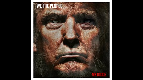 ‘We The People’ by Mr Goode