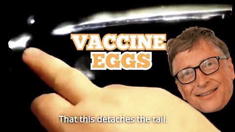 SHOCKING Video: "Parasites In COVID Vaccines Lay Eggs That Hatch" LIVE ON SCREEN