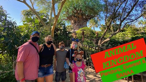 ANIMAL KINGDOM | MORE FIRST REACTIONS | NAVI' RIVER, FOP | + DINNER AT SANAA I NOV 2020 Day 5