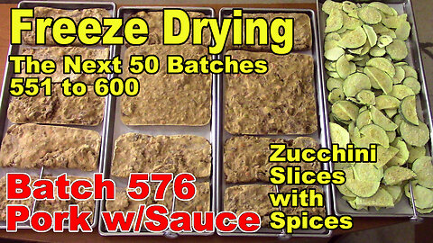 Freeze Drying - The Next 50 Batches - Batch 576 - Zucchini Slices w/Spices & Pork Pieces/Sauce