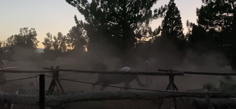Paladin kicking up some dust at dusk