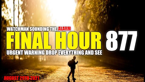 FINAL HOUR 877 - URGENT WARNING DROP EVERYTHING AND SEE - WATCHMAN SOUNDING THE ALARM