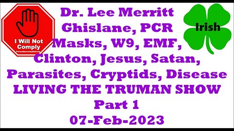 LIVING THE TRUMAN SHOW with Dr. Lee Merritt Part 1 07-Nov-2023