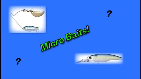 Favorite Micro Baits for Bass