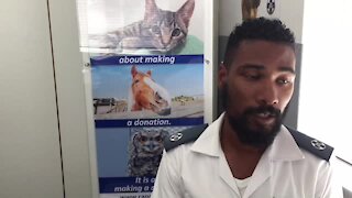 SOUTH AFRICA - Cape Town - The SPCA’s Wildlife Unit (Video) (Cy9)