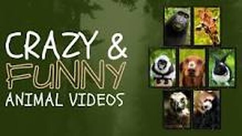 AMINAL FUNNY VIDEOS IN 2023 | CUTE PETS | #RUMBLE