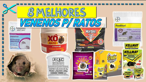 8 Melhores Venenos Para Ratos Camundongos e Ratazanas