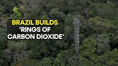 AmazonFACE: Scientists simulate climate change in Brazil's Amazon rainforest to study its effects