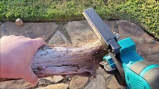 What You Should Know - 6 inch Mini Cordless Chainsaw