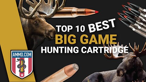 Top 10 Best Deer Hunting Cartridges To Put Bambi in The Freezer