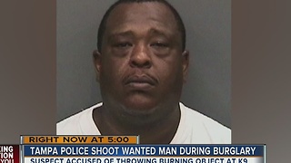 Tampa police shoot wanted man during burglary