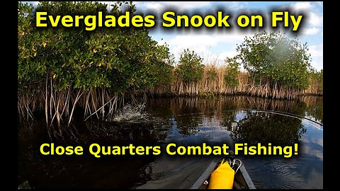 Everglades 2202 EP1 | Fly Fishing for Snook