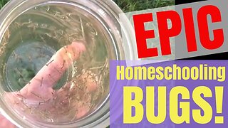 Homeschool with Insects