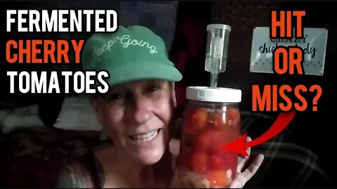 Fermented Cherry Tomatoes, Hit or Miss? - Ann's Tiny Life and Homestead