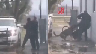 CLASSIC: Soy Ninja Slaps A Cop, K9 Fur Missile Deployed