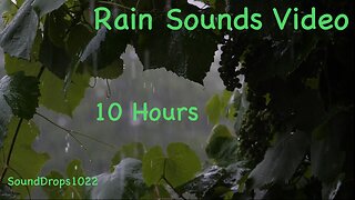 10-Hour Rain Meditation: Extended Tranquility