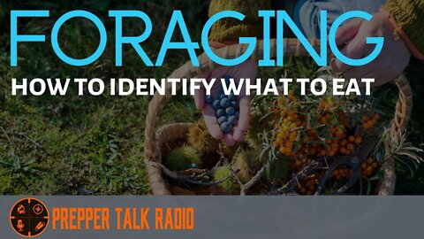 Foraging & How to Identify Wild Edibles | Plants In The Wild | PTR Ep 180