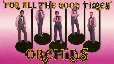 Rockin' Polka - The Orchids
