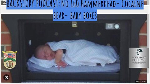 Backstory Podcast No 160 Hammerhead Cocaine Bear Baby Boxes
