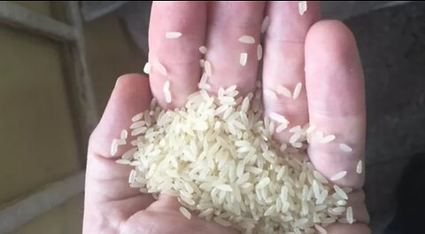 Fabrication de riz avec de la matière première en plastique !