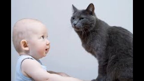 MOST Crazy Cats Annoying Babies, If You Laugh You Lose Challenge, Funny Cats Videos by kss
