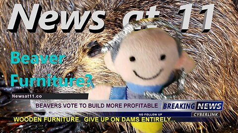 Beavers Vote...Episode 9 News at 11