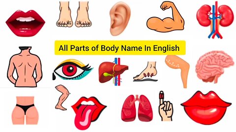 Parts of the Body in English with Picture | Human Body Parts Name Video For Kids