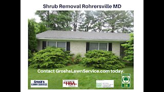 Shrub Removal Rohrersville MD Landscaping Contractor