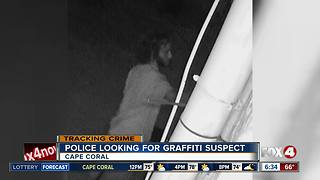 Cape Coral Police searching for graffiti suspect