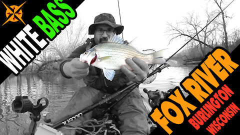 White Bass Fishing (And HUGE BONUS FISH) on the Fox River with the Vibe SeaGhost 130