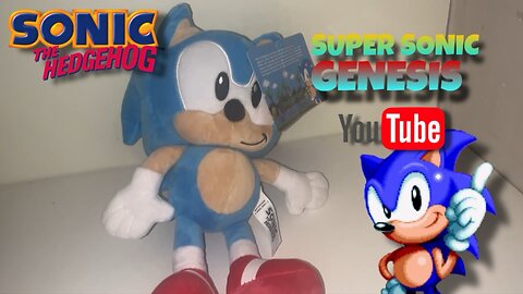 Sonic Talking Musical Plush Demonstration!