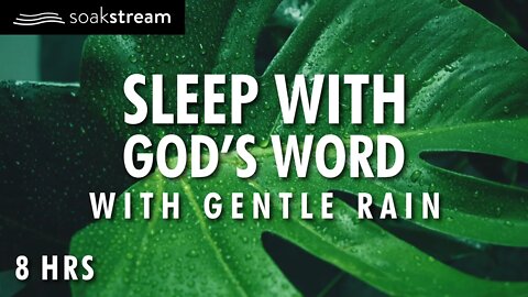 Bible Verses with Rain for Sleep and Meditation - NO MUSIC (MALE VOICE)