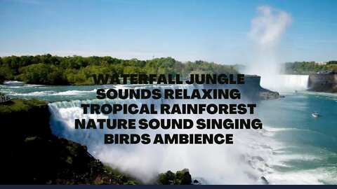 Melodic Bird Songs at Stunning Blue Waterfall in Forest Bliss |Enchanting Forest Ambiance: Birds' Melodies at Blue Waterfall