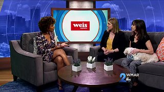 Weis Markets - Paws for Pets