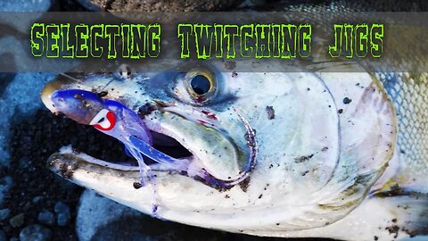 Coho Salmon Fishing Tips | What Type Of Jigs & Flies To Use For Twitching Coho? 🎣