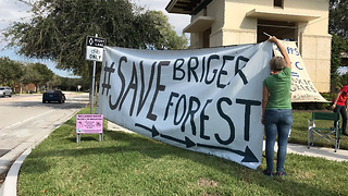 Activists fight to save forest in Palm Beach Gardens