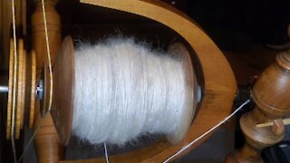 Spinning White Teeswater Wool Relaxing Background Noise