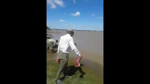 Piranha Invade Brazil River - Old Man Feeding Piranha With Meat and Finished in Second