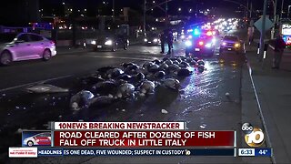 Dozens of tuna fall from delivery truck onto Little Italy street