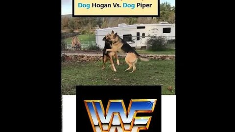 Dog Hogan Vs. Dog Piper WWF Championship | K9 D.I.Y in 4D