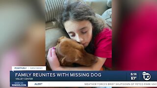 Positively San Diego: Family reunites with dog missing for over a month