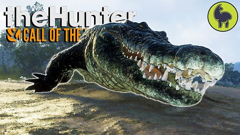 Shooting Crocodiles from 300m | theHunter: Call of the Wild (PS5 4K 60FPS)