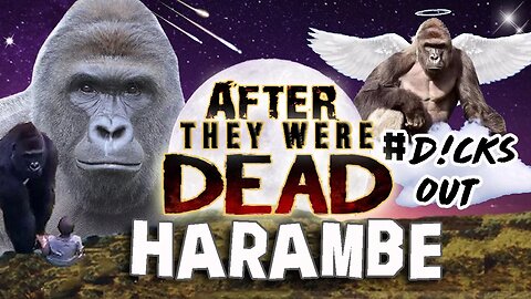 HARAMBE | After They Were Gone