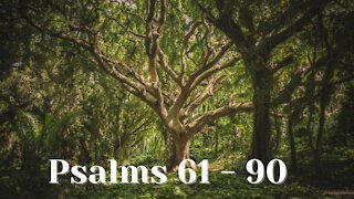 Psalms 61- 90 Prayer for Protection, Music with the Psalms, Christian Meditation, Soaking Worship